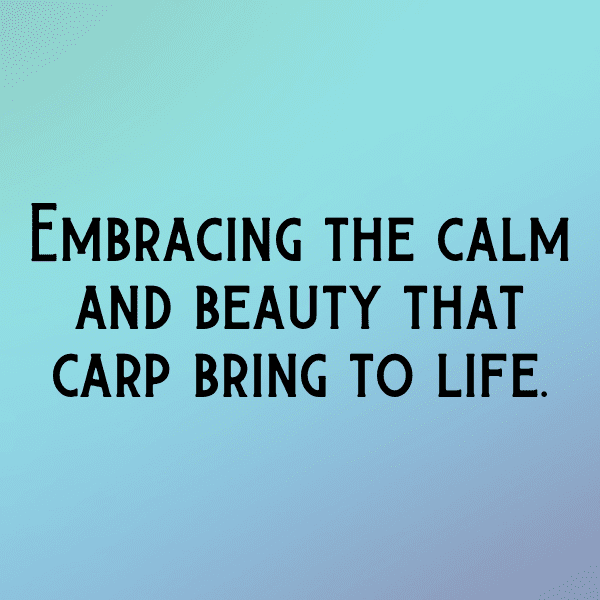 Carp Captions Photo For Instagram-b030Hh