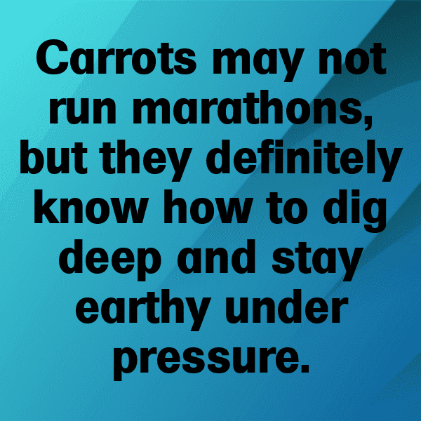 Carrot Captions Photo For Instagram-mMpjWG