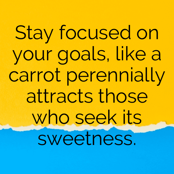 Carrot Captions Photo For Instagram-MRVt64