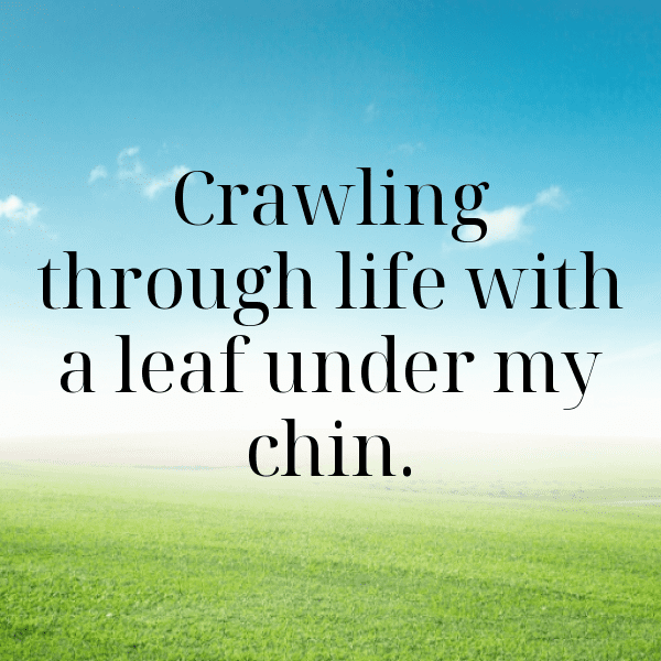 Caterpillar Captions Image For Instagram-14fxTa