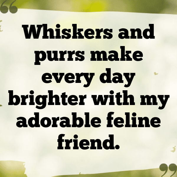 Caterpillar Captions Image For Instagram-5vHmlW