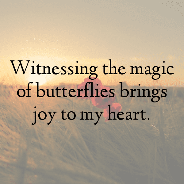 Caterpillar Captions Image For Instagram-CHH08m