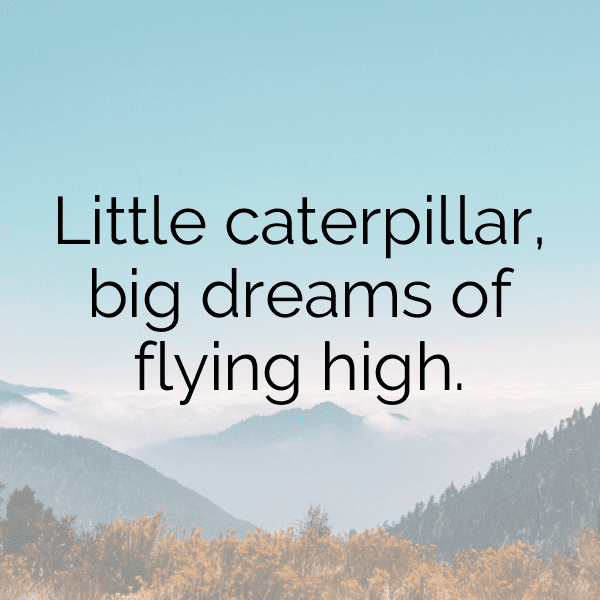 Caterpillar Captions Image For Instagram-pJisB4