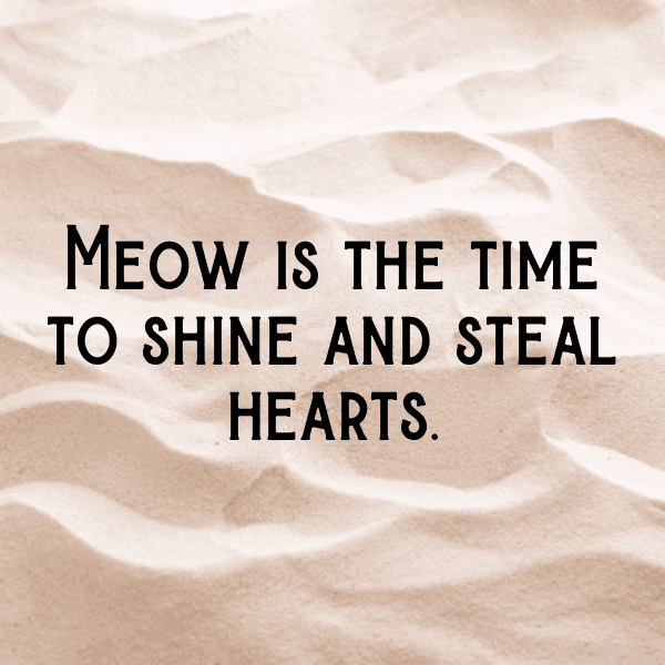 Caterpillar Captions Photo For Instagram-I5PB4c