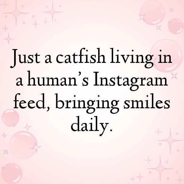 Catfish Captions Image For Instagram-bw4KDU