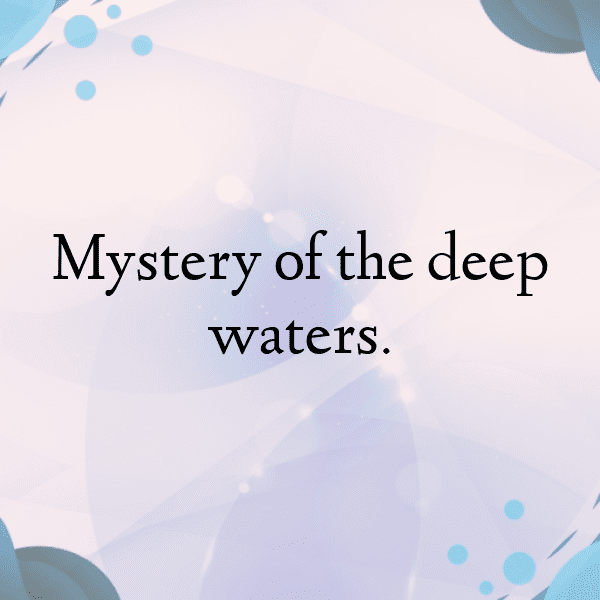 Catfish Captions Photo For Instagram-1Fp4RI