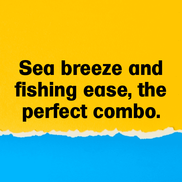 Catfish Captions Photo For Instagram-3EtkYR