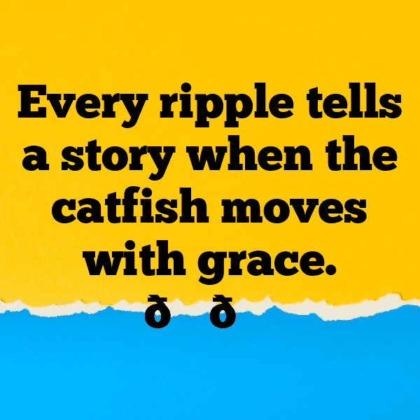 Catfish Captions Photo For Instagram-umX7TO