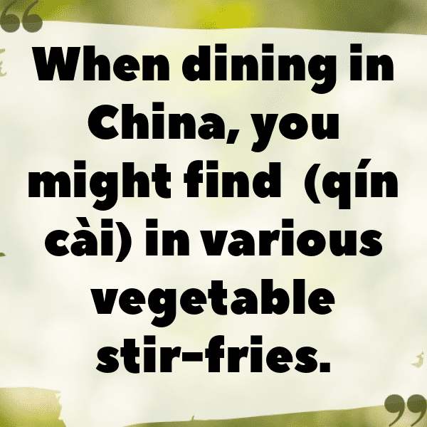 Celeriac Captions Photo For Instagram-JDqPge