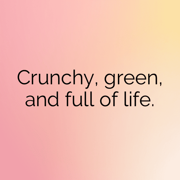 Celery Captions Photo For Instagram-tUSiRR