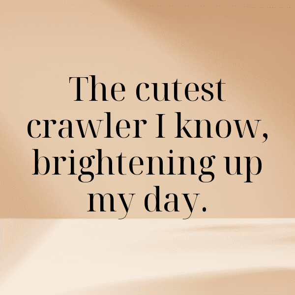 Centipede Captions Image For Instagram-qjNH6j