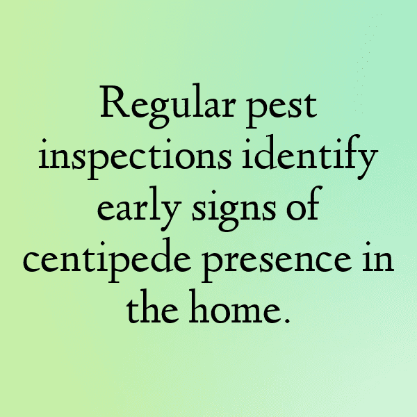 Centipede Captions Photo For Instagram-ASiVA8