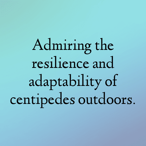 Centipede Captions Photo For Instagram-dCe3XX
