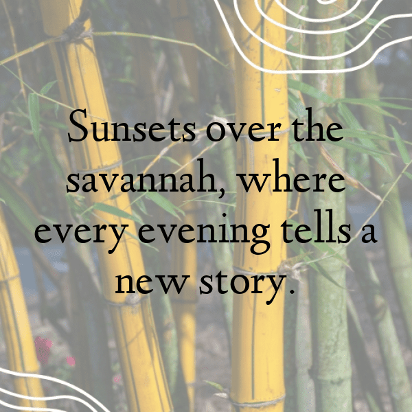 Central African Republic Captions Photo For Instagram-ULgk2K