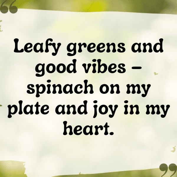 Ceylon Spinach Captions Image For Instagram-IYgDNv