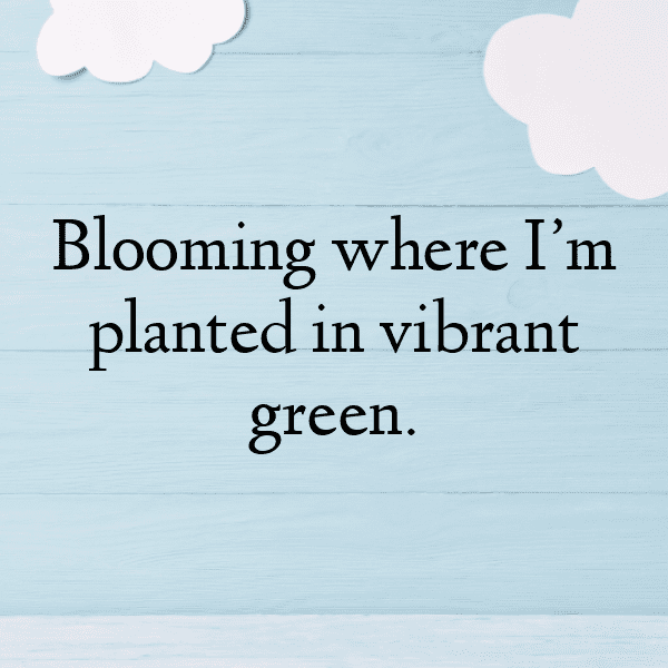 Ceylon Spinach Captions Image For Instagram-PcJiN7