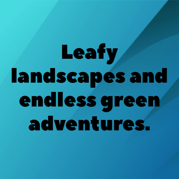 Ceylon Spinach Captions Photo For Instagram-3Dk3iM