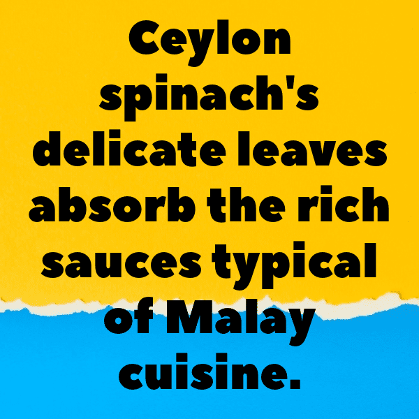 Ceylon Spinach Captions Photo For Instagram-aLDO7b