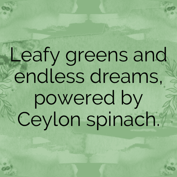 Ceylon Spinach Captions Photo For Instagram-DhOfQz