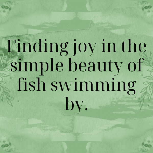 Chameleon Captions Photo For Instagram-2PKyC7