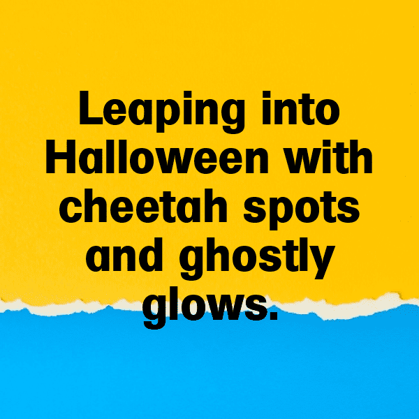 Cheetah Captions Image For Instagram-eZ73Xd