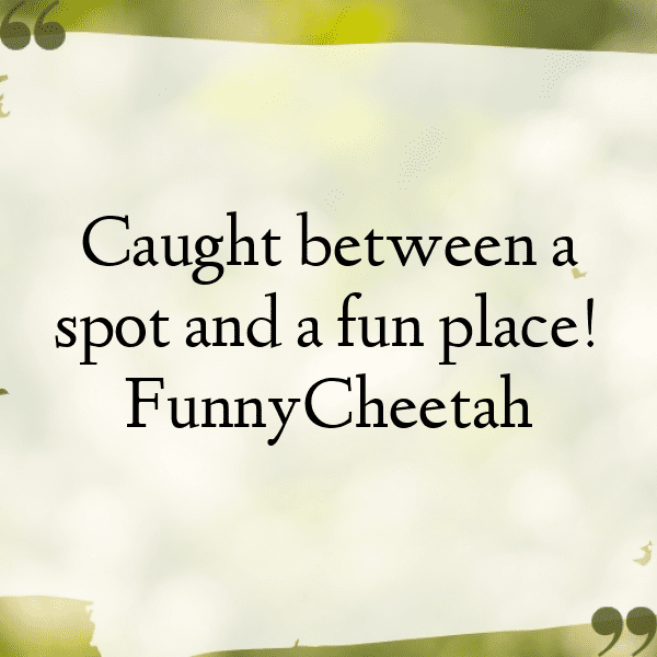 Cheetah Captions Image For Instagram-FlAhwo