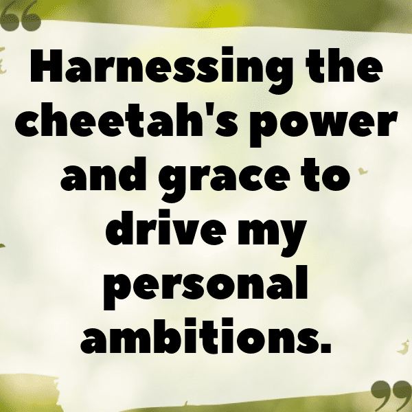 Cheetah Captions Image For Instagram-J3VLp4