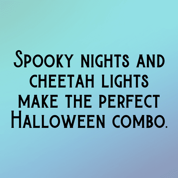 Cheetah Captions Image For Instagram-msaBX0