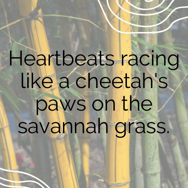 Cheetah Captions Image For Instagram-pWjbKq