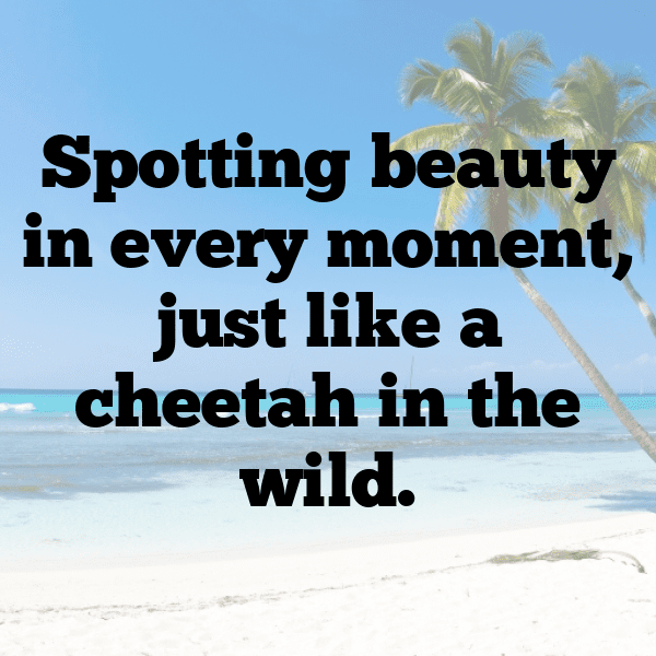 Cheetah Captions Image For Instagram-SkKjPP