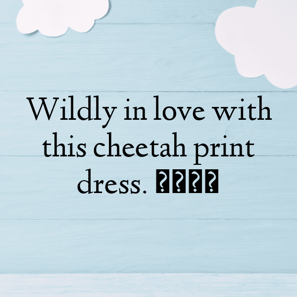 Cheetah Captions Photo For Instagram-WEF6d4