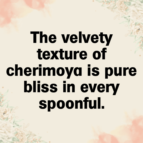 Cherimoya Captions Image For Instagram-8ettCB