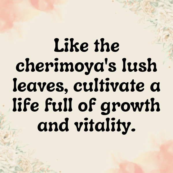 Cherimoya Captions Image For Instagram-INmaFW