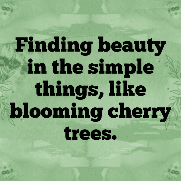 242+ Cherry Captions For Instagram In 2025 5 Cherry Captions Image For Instagram-8604oW