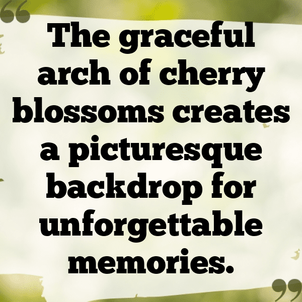 242+ Cherry Captions For Instagram In 2025 13 Cherry Captions Image For Instagram-W084gj