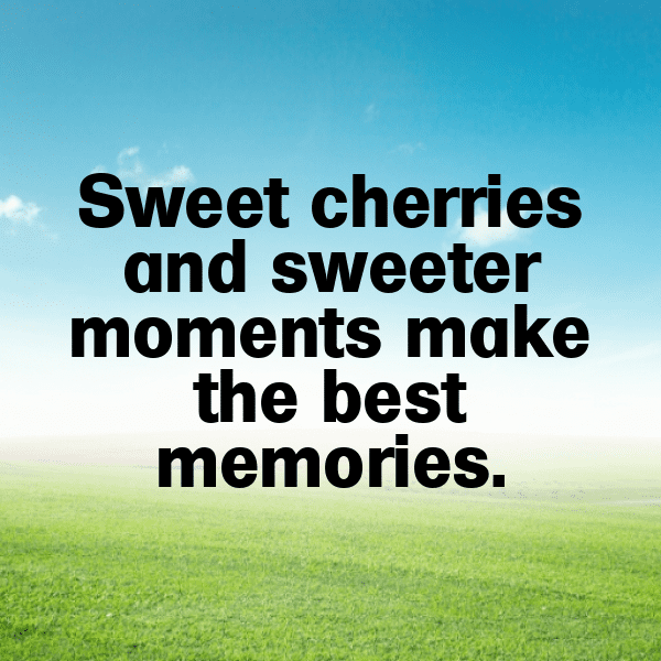 242+ Cherry Captions For Instagram In 2025 17 Cherry Captions Photo For Instagram-x53EYM