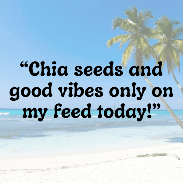 Chia Captions Photo For Instagram-GGWJc8