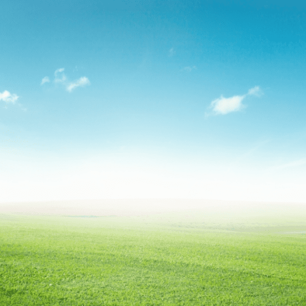 Chia Captions Photo For Instagram-NPUnkg