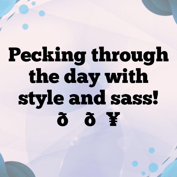 Chicken Captions Photo For Instagram-2ilVY6