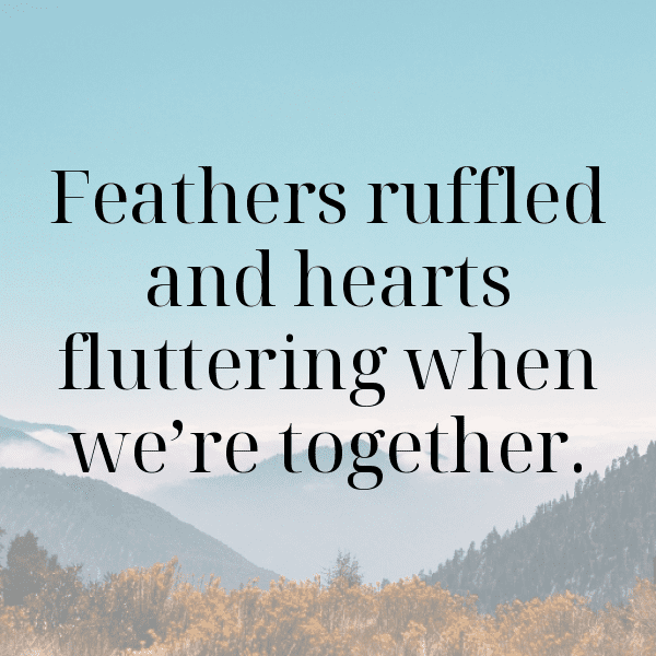 Chicken Captions Photo For Instagram-CRRwxs