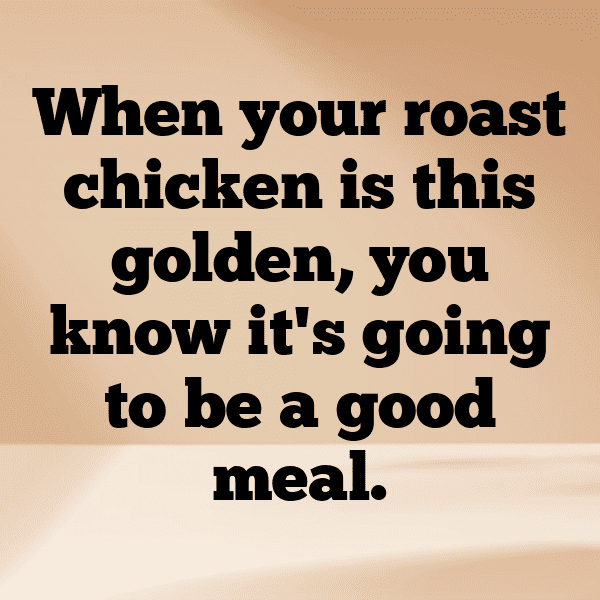 Chicken Captions Photo For Instagram-Y1WBEb