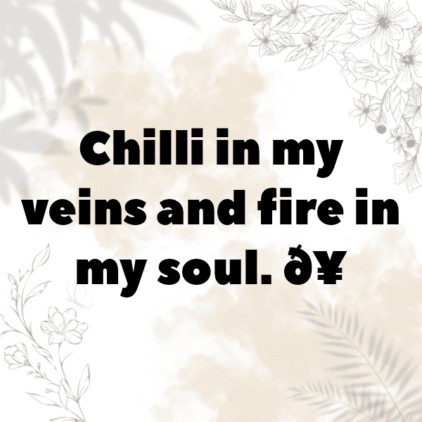 Chile Captions Photo For Instagram-ibDqxs