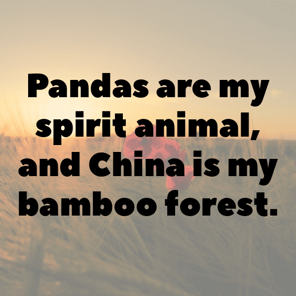 China Captions Image For Instagram-fHVGF2