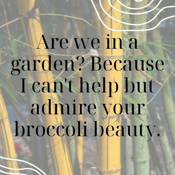 Chinese Broccoli Captions Image For Instagram-I5P8i1