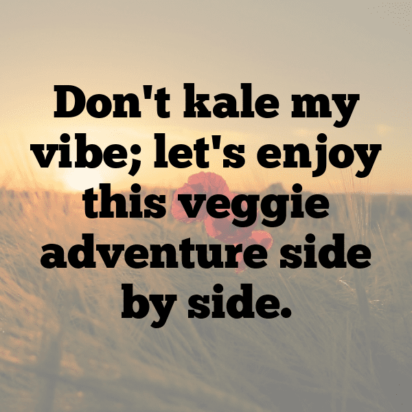 Chinese Broccoli Captions Photo For Instagram-4DP04S