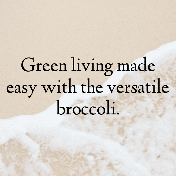 Chinese Broccoli Captions Photo For Instagram-BO04wn