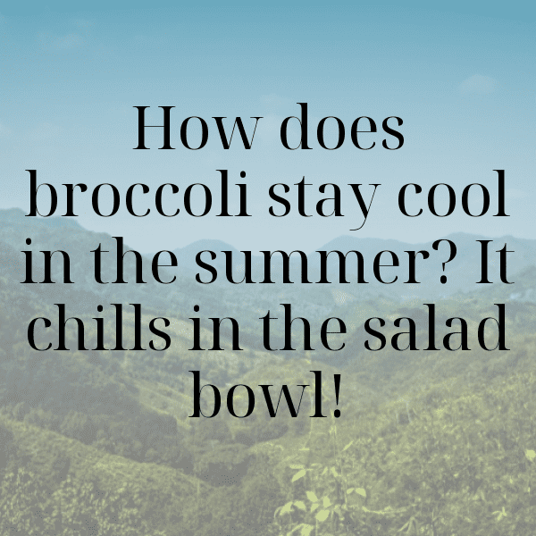 Chinese Broccoli Captions Photo For Instagram-ZDKL0Q