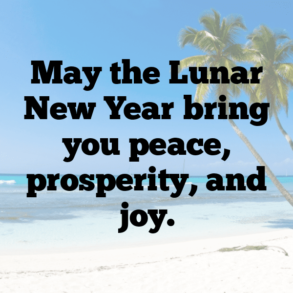 Chinese New Year Captions Photo for Instagram-3CHnzb