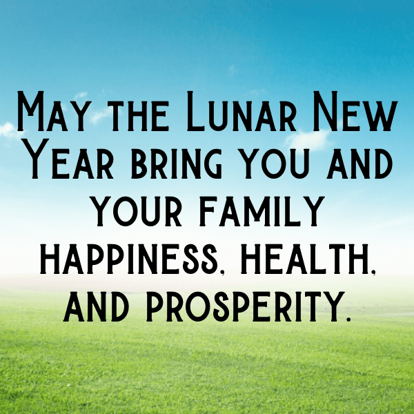 Chinese New Year Captions Photo for Instagram-j5qFiR