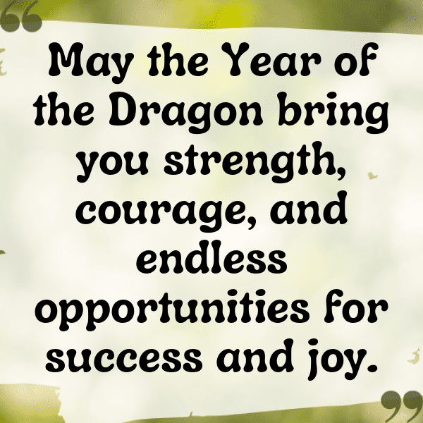 Chinese New Year Captions Photo for Instagram-sWLyYR